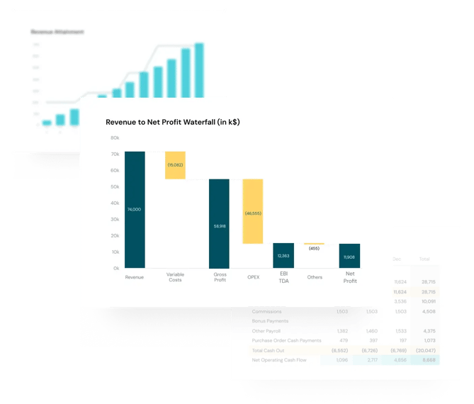 P&L, Cash Flow, etc